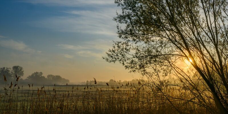 Nach einem sonnigen Start in den Ostersonntag droht es in Teilen Deutschlands, ungemütlich zu werden.  - Foto: Patrick Pleul/dpa