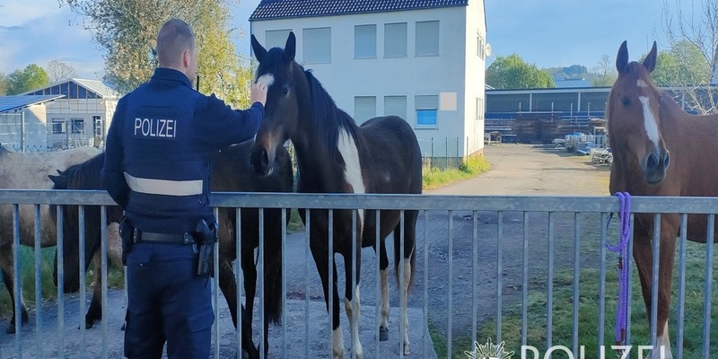 POL-PIZW: Cowboy & Polizist - Tierischer Osterausflug - Foto: presseportal.de