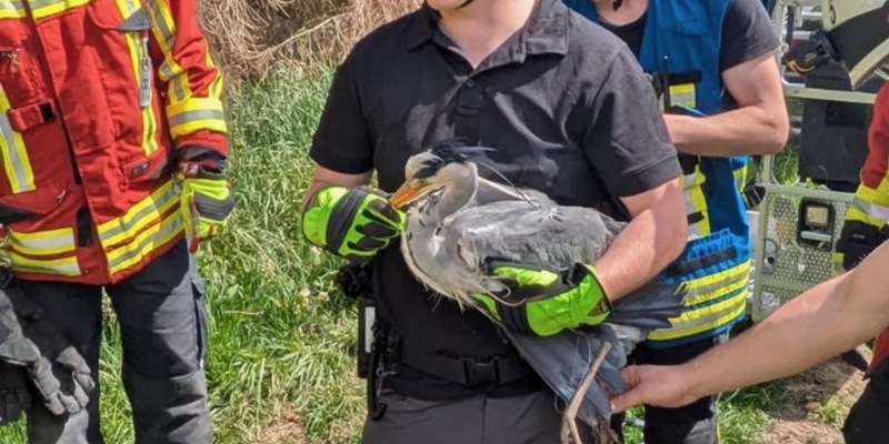 FW Stockach: Tierrettung - Foto: presseportal.de