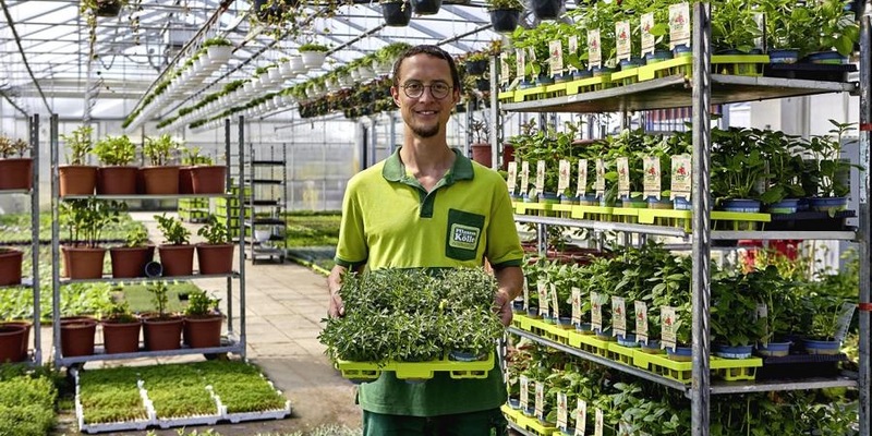 Gemüse, Kräuter und Obst aus dem eigenen Garten - Foto: presseportal.de