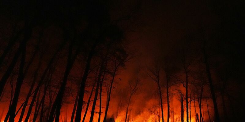 Seit dem Ausbruch des Waldbrandes in New Jersey am Dienstagmorgen breiten sich die Flammen schnell aus. - Foto: Chris Szagola/AP/dpa