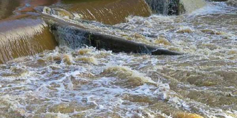 Nach einem Unglück auf dem walisischen Fluss Cleddau, bei dem 2021 vier Stand-up-Paddler starben, hat ein Gericht die Veranstalterin der Tour zu einer langen Haftstrafe verurteilt.  - Foto: -/Crown Prosecution Service via PA Media/dpa