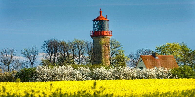 Rapsblüte 2025 / Schwarz, Rot, Gelb - Foto: presseportal.de