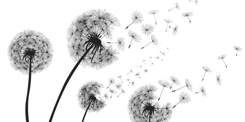 Heuschnupfen: Warum Allergien schlimmer werden - Foto: presseportal.de