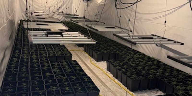 POL-GÖ: (135/2025) Zwei weitere Indoor-Plantagen im Altkreis Osterode entdeckt - Über 2.000 Pflanzen und umfangreiche Anbautechnik beschlagnahmt, 56-Jähriger festgenommen, Ermittlungskommission eingerichtet - Foto: presseportal.de