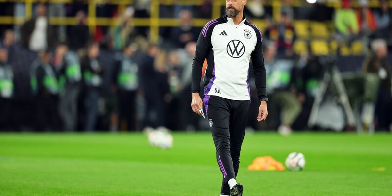 Sandro Wagner auf dem Rasen. - Foto: Rolf Vennenbernd/dpa