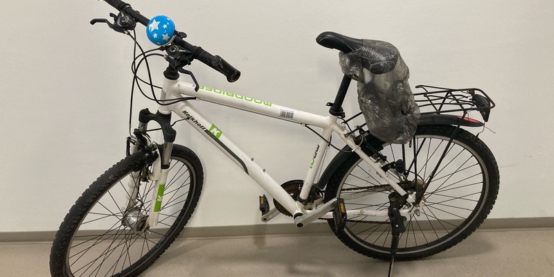 POL-LIP: Horn-Bad Meinberg. Fundfahrrad - Eigentümer gesucht! - Foto: presseportal.de