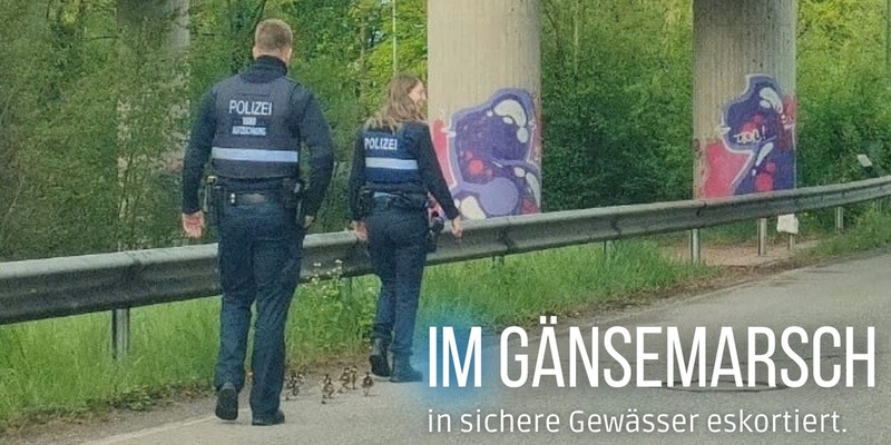 POL-PIZW: Polizei-Eskorte für Gänse-Familie - Foto: presseportal.de