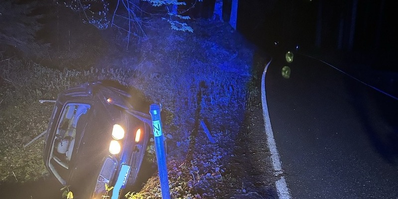 POL-PDLD: Auto im Graben, Drogen im Spiel - Foto: presseportal.de