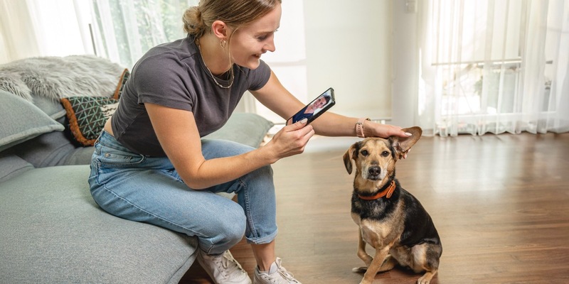 DAS FUTTERHAUS kooperiert mit HaustierDocs.de / Tierärztliche 24/7-Online-Beratung als neuer Service - Foto: presseportal.de