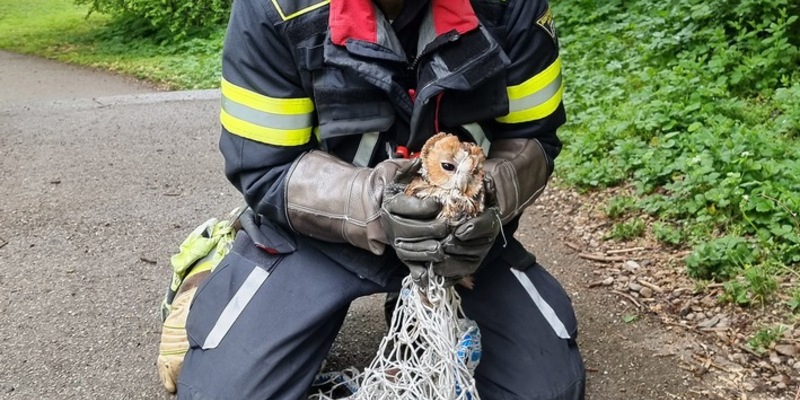 FW-M: Wochenendrückblick der Feuerwehr München (25. - 27. April 2025) - Foto: presseportal.de