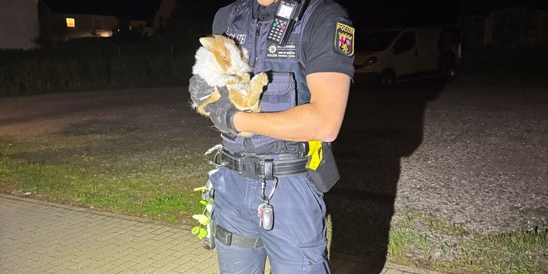 POL-PDPS: Tierischer Einsatz am Wochenende - Foto: presseportal.de