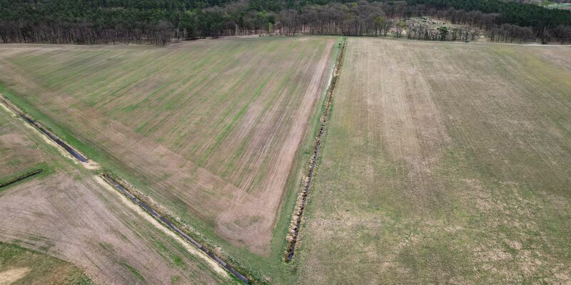 Mitte April und vertrocknetes Gras - Blick auf eine Wiese im Landkreis Oberhavel in Brandenburg (Aufnahme mit einer Drohne). (Archivbild) - Foto: Soeren Stache/dpa