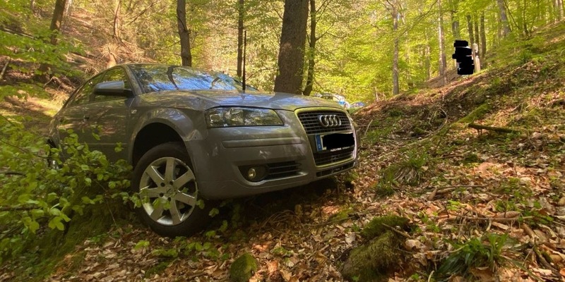 POL-PDLD: St. Martin - Von der Fahrbahn abgekommen - Foto: presseportal.de