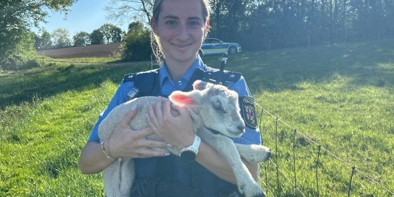 POL-PIZW: Tierretter in der Not - Foto: presseportal.de
