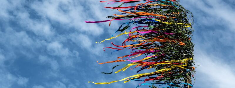 Am Niederrhein ist ein Maibaum umgekippt - es gibt mehrere Verletzte. (Illustration) - Foto: Federico Gambarini/dpa