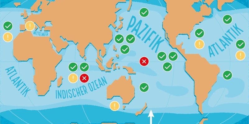 Am 2. Mai ist Weltthunfischtag - und es gibt endlich gute Nachrichten! - Foto: presseportal.de