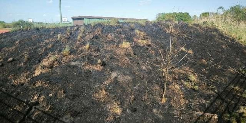 POL-ROW: Flächenbrand durch Böller - Foto: presseportal.de