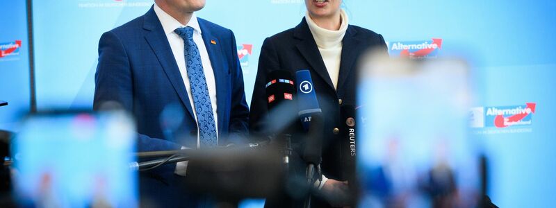 Alice Weidel und Tino Chrupalla stehen gemeinsam an der Spitze von Partei und Fraktion. (Archivfoto) - Foto: Bernd von Jutrczenka/dpa