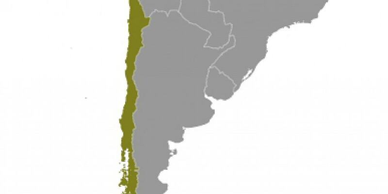 Chile (Archiv) - Foto: über dts Nachrichtenagentur