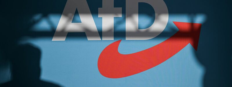 Die AfD muss vor allem auch mit politischen Mitteln bekämpft werden, meint SPD-Chef Klingbeil. (Symbolfoto) - Foto: Hannes P Albert/dpa