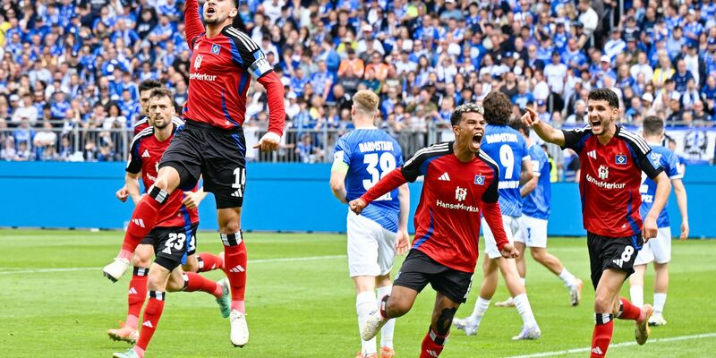 Traf zur HSV-Führung: Ludovit Reis. - Foto: Uwe Anspach/dpa