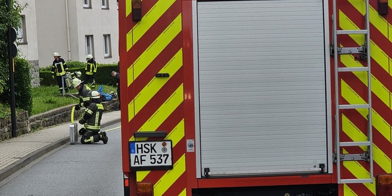 FW-AR: Feuerwehr rettet vier Katzen aus brennender Wohnung - Foto: presseportal.de