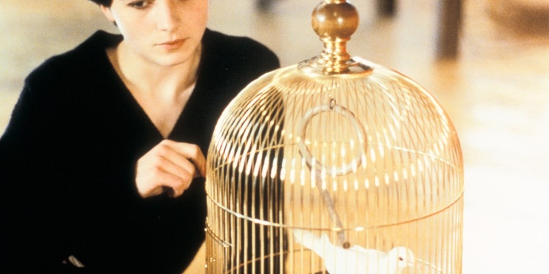 ARTE-Streamingtipps im Mai - Foto: presseportal.de