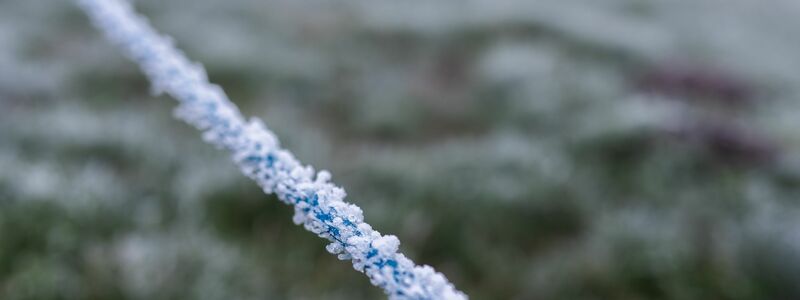 Eisige Temperaturen im Hochschwarzwald  - Foto: Philipp von Ditfurth/dpa