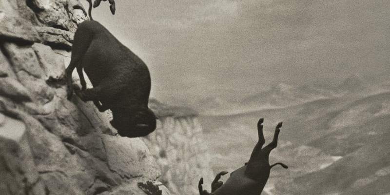 EDDINGTON / Weltpremiere im Wettbewerb der Filmfestspiele von Cannes - deutscher Kinostart am 17. Juli 2025 - Foto: presseportal.de