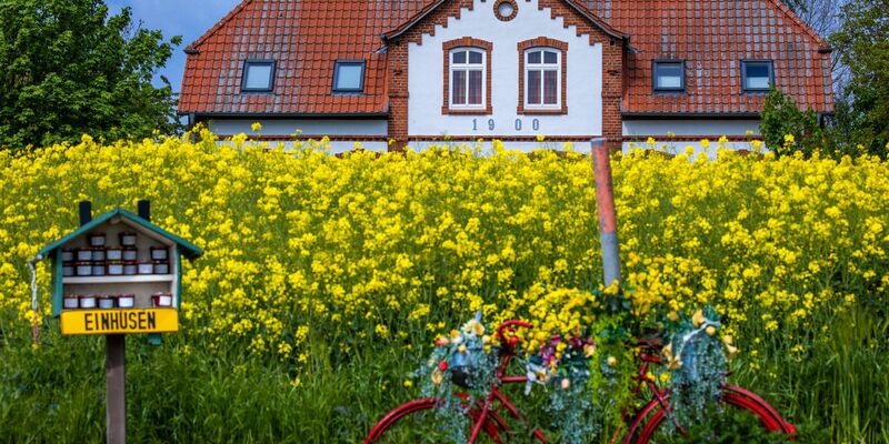 Ferienhäuser werden immer häufiger online vermittelt.  - Foto: Jens Büttner/dpa