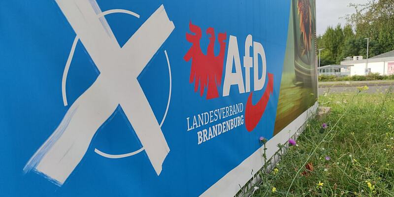AfD-Wahlplakat zur Landtagswahl in Brandenburg (Archiv) - Foto: über dts Nachrichtenagentur