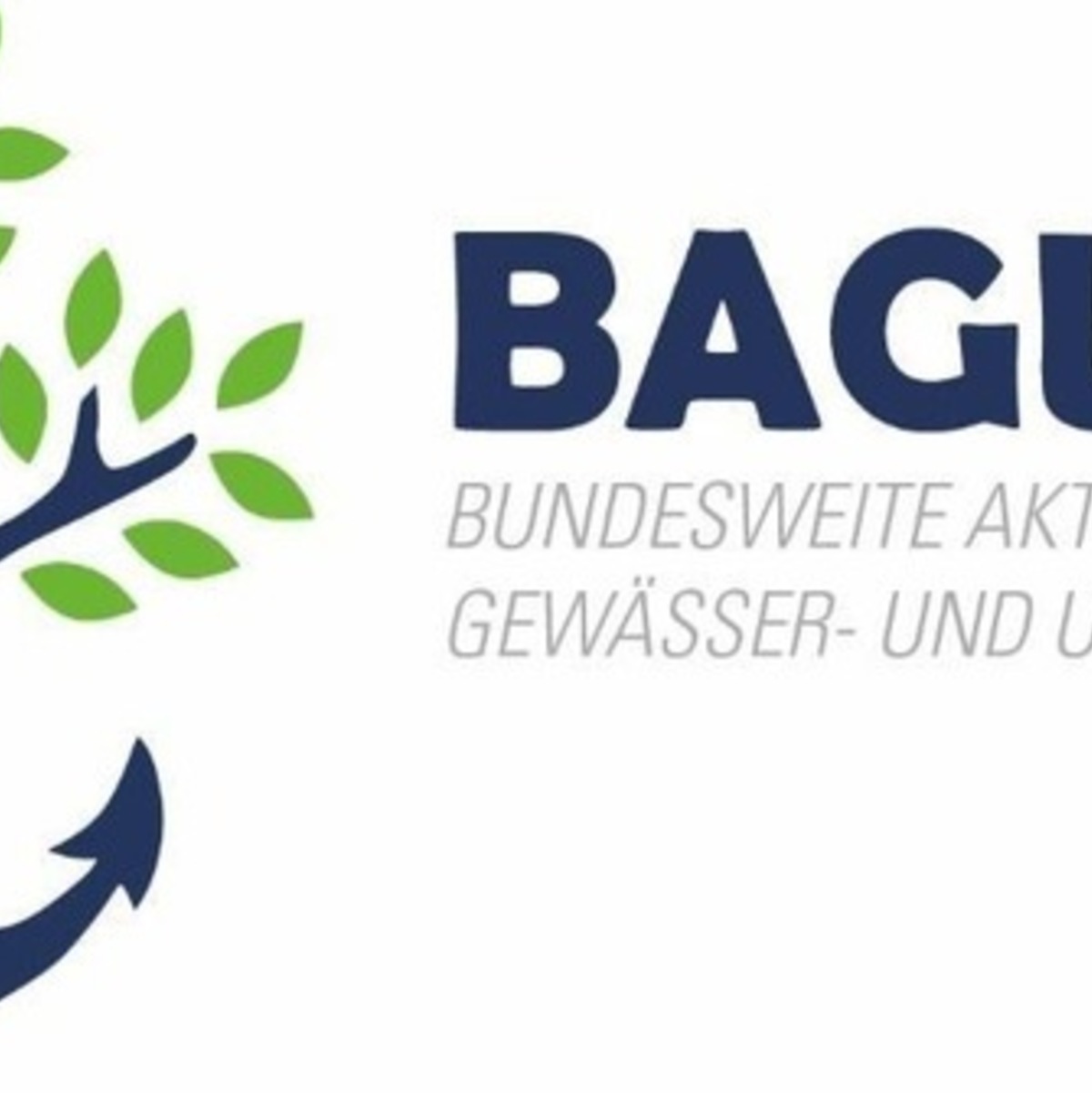 WSPI-OLD: Bilanz der 