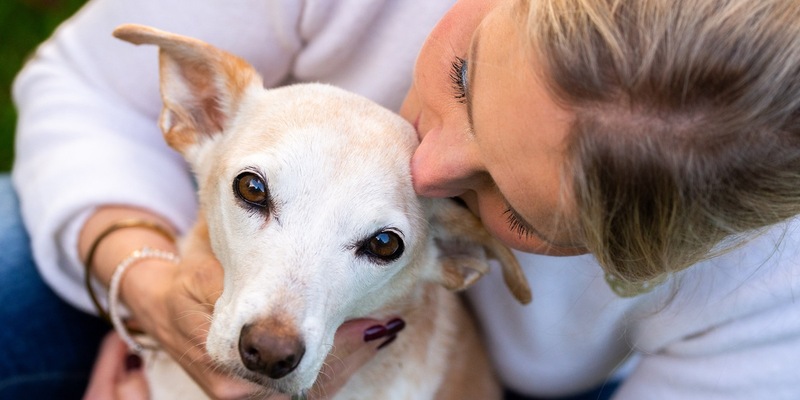 ZDF: Terra X: Harald Lesch und 37° über Haustiere - Foto: presseportal.de