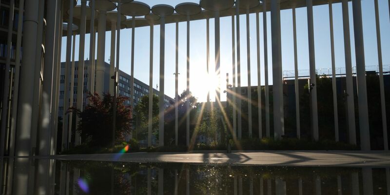 Blauer Himmel, Sonnenschein - am kommenden Wochenende wird dieses Bild vorherrschen. - Foto: Sebastian Willnow/dpa