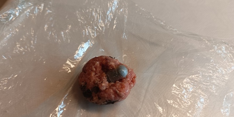 POL-HL: OH-Kasseedorf / Hundehalterinnen finden präparierte Hackbällchen - Polizei sucht Zeugen - Foto: presseportal.de