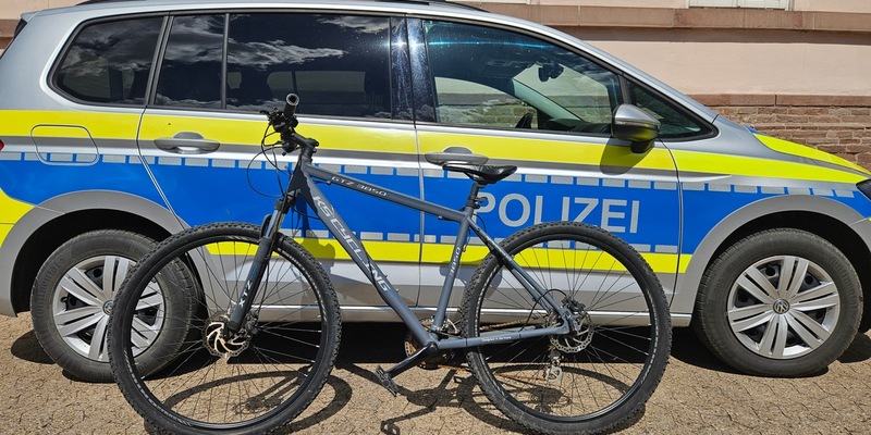 POL-HOL: Wem gehört das Mountainbike? - Foto: presseportal.de