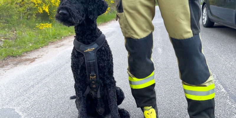 FW Lüchow-Dannenberg: +++ vermisste Seniorin löst Großeinsatz aus +++ Polizei, Feuerwehr und Rettungshunde im Einsatz +++ 83jährige nach stundenlangem Einsatz aufgefunden +++ - Foto: presseportal.de