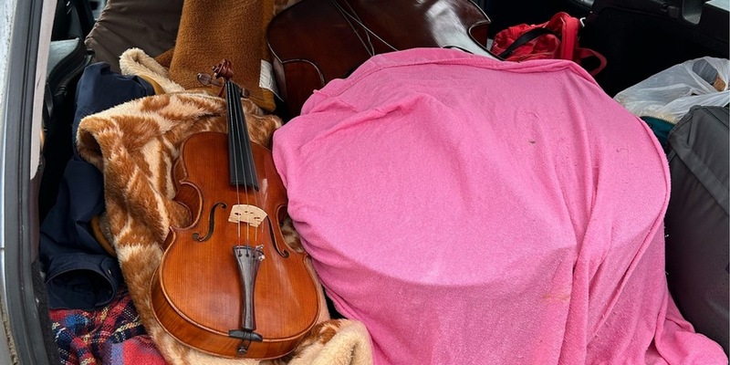 HZA-UL: Ungar schmuggelt Violinen, Kontrabass und Cello - Foto: presseportal.de