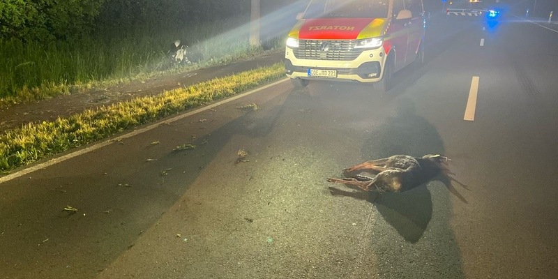 POL-COE: Olfen, B235/Motorradfahrer kollidiert mit Reh - Foto: presseportal.de