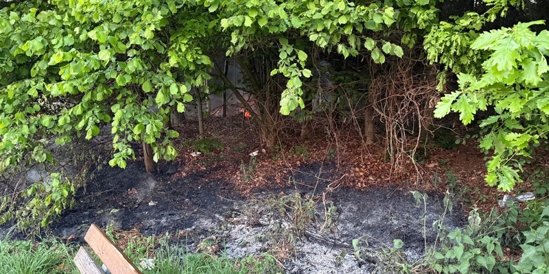 FW Ense: Feuerwehr Ense löscht Waldbrand / Fahrlässigkeit vermutlich Ursache - Foto: presseportal.de