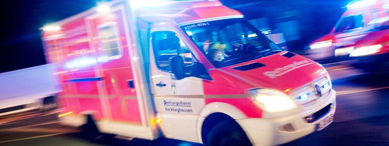 In Delbrück im Kreis Paderborn musste der Notarzt eine Frau nach einem Tigerbiss behandeln. (Symbolbild)  - Foto: picture alliance / Marcel Kusch/dpa