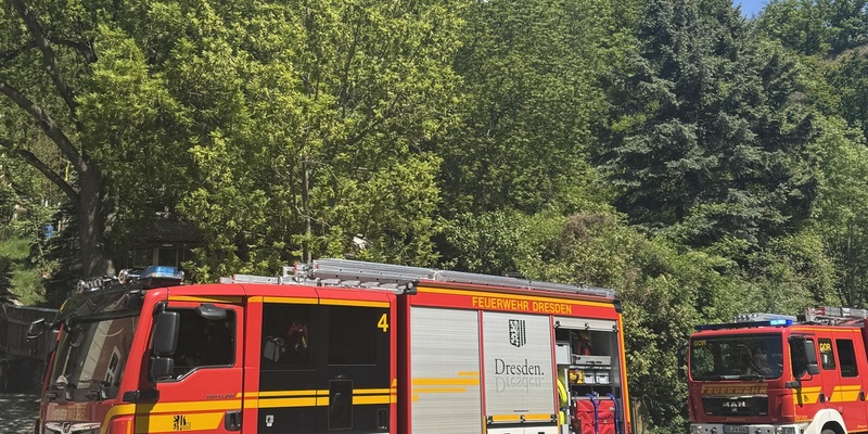 FW Dresden: Vegetationsbrand am Luftbad Dölzschen - rund 300 Quadratmeter Waldboden betroffen - Foto: presseportal.de