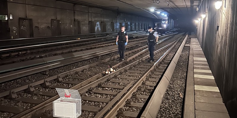 BPOL-HH: Tierischer Rettungs-Einsatz im Bahnhof Altona- Entenfamilie auf Abwegen...- - Foto: presseportal.de