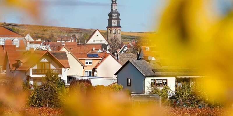 Der kleine Winzerort Kallstadt an der Weinstraße ist der Heimatort von Trumps Vorfahren. (Archivbild) - Foto: Uwe Anspach/dpa/dpa-tmn