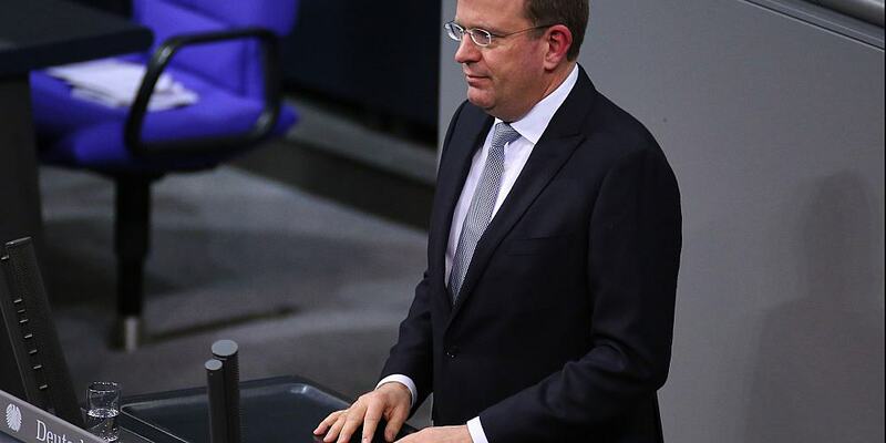 Reinhard Brandl (Archiv) - Foto: über dts Nachrichtenagentur