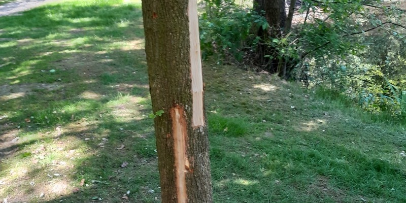 POL-CLP: Pressemeldungen aus dem Landkreis Vechta - Foto: presseportal.de