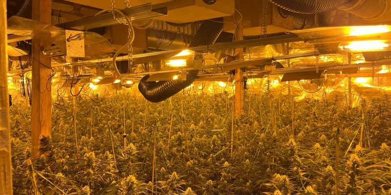 POL-MK: Cannabis-Plantage im ehemaligen Steinbruch - Zwei Festnahmen - Foto: presseportal.de