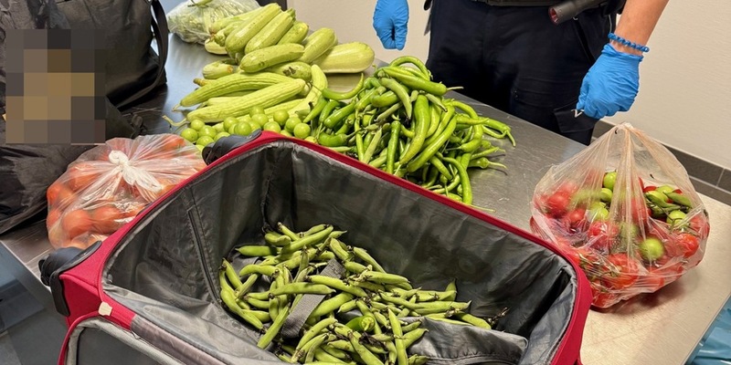 HZA-SB: Weder das Gemüse noch der Plan waren ausgereift; ZOLL findet 19 Kilogramm verbotene Lebensmittel und unversteuerte Zigaretten - Foto: presseportal.de