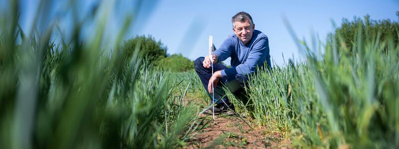 Bewässern ist teuer - derzeit aber vielfach nötig. - Foto: Sina Schuldt/dpa